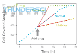 &auml;&frac14;&curren;&aring;?&pound;&aelig;??&aring;??