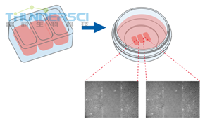 QQ&aring;?&frac34;&ccedil;??20190318144929 &aring;?&sup1;&aring;?&raquo;&aelig;??&auml;&raquo;&para;4.png
