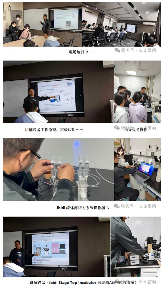 Screenshot 2025-10-24 at 13-47-42 【雷萌生物】技術(shù)賦能科研 ibidi流體剪切力系統(tǒng)&活細(xì)胞工作站裝機(jī)培訓(xùn)圓滿落幕.png